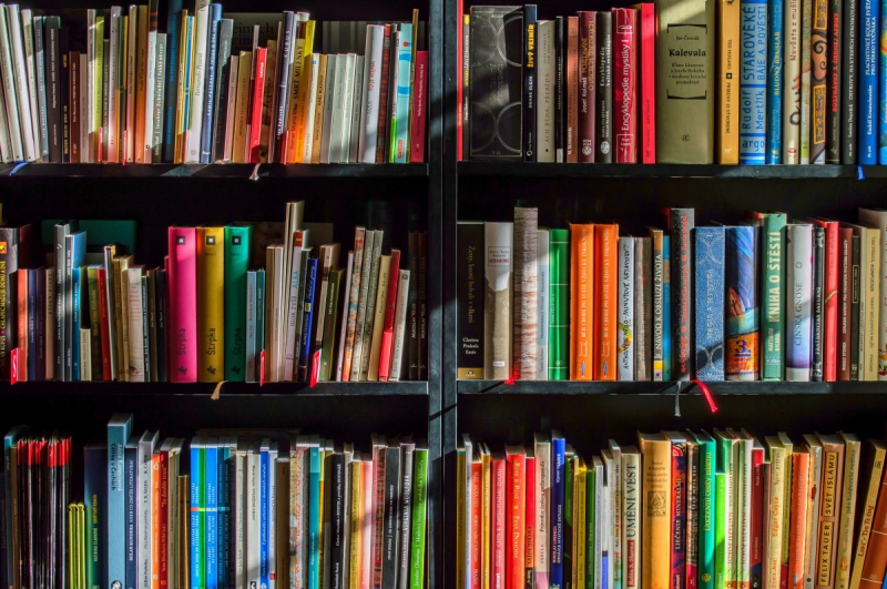 vitrine-ST LAURENT DU VAR-min_books_bookstore_book_reading_shop_writer_sale_books_read-822866