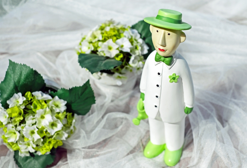 vitrine-ST LAURENT DU VAR-min_man-person-flower-green-toy-fig-546529-pxhere.com